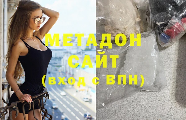 индика Гусев