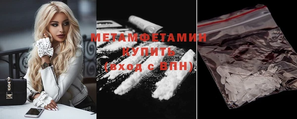 индика Гусев