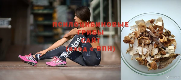 эйфоретик Гусиноозёрск