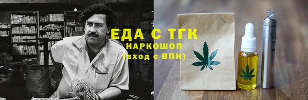индика Гусев