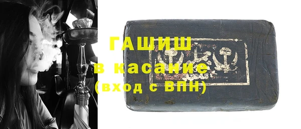 индика Гусев
