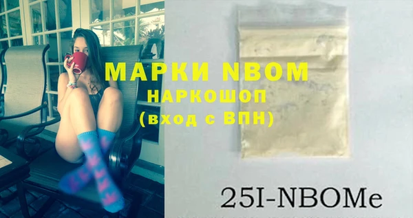 индика Гусев