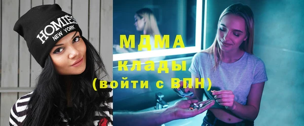 индика Гусев
