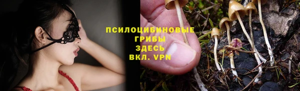 эйфоретик Гусиноозёрск