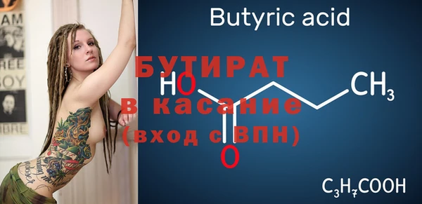 индика Гусев
