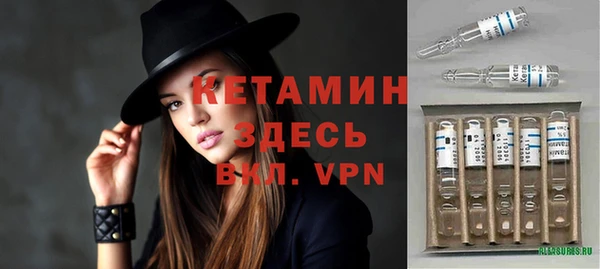индика Гусев