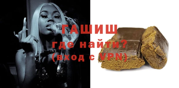 индика Гусев