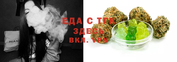 индика Гусев