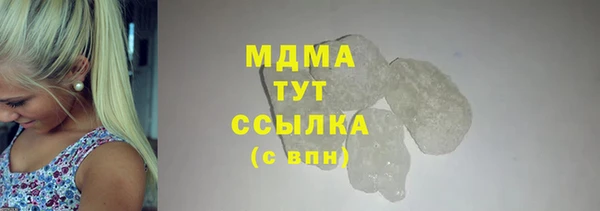индика Гусев