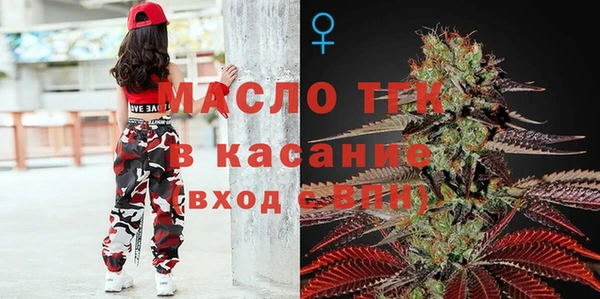 индика Гусев