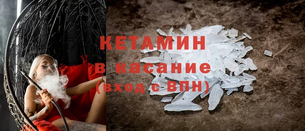 индика Гусев