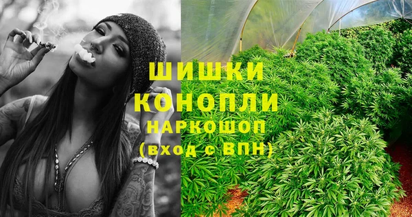 эйфоретик Гусиноозёрск