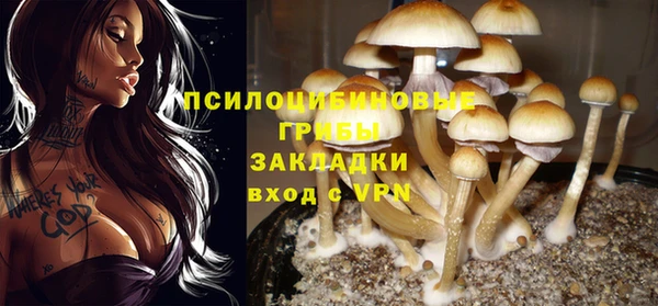 Альфа ПВП Гусь-Хрустальный