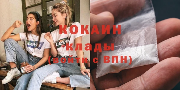 индика Гусев