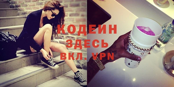 индика Гусев