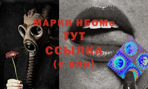 индика Гусев