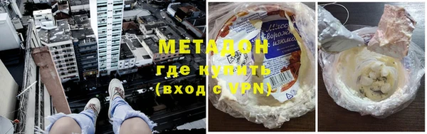 индика Гусев