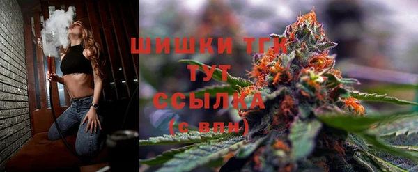 индика Гусев