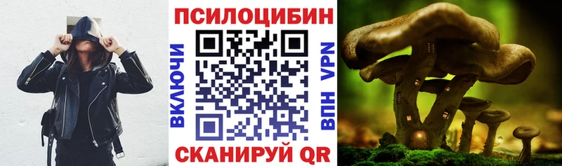 Псилоцибиновые грибы Psilocybine cubensis  Калининец 
